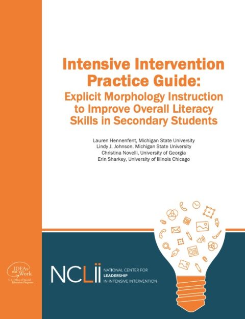 Intensive Intervention Practice Guides National Center For Leadership